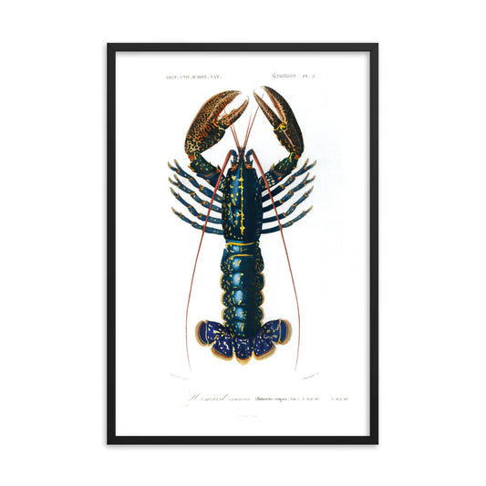 Crimson Crawfish