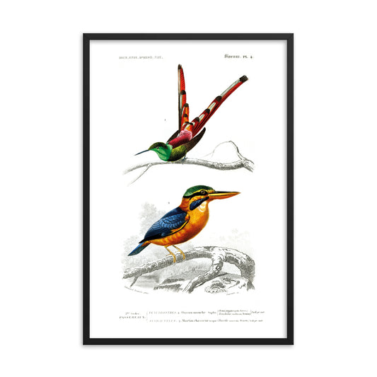 Two Birds