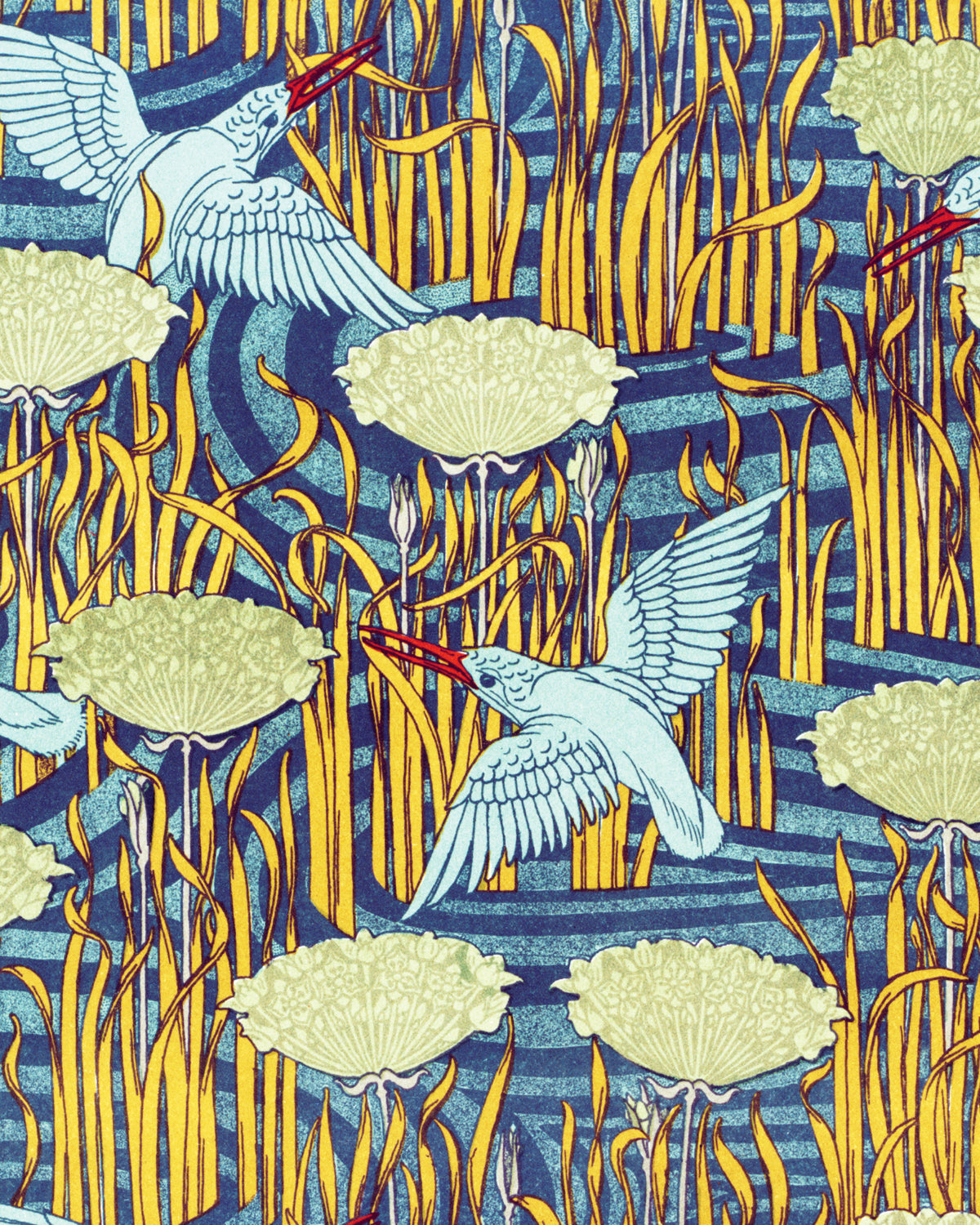 Martins-pêcheurs