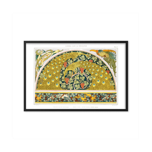 Poissons et algues